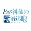 とある神龍の極雷迅咆（ゾディアック）