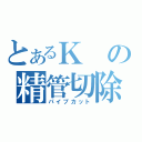 とあるＫの精管切除（パイプカット）