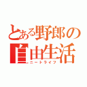 とある野郎の自由生活（ニートライフ）