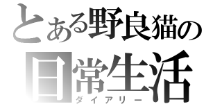 とある野良猫の日常生活（ダイアリー）