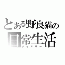 とある野良猫の日常生活（ダイアリー）