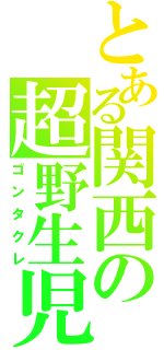 とある関西の超野生児（ゴンタクレ）