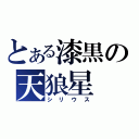 とある漆黒の天狼星（シリウス）