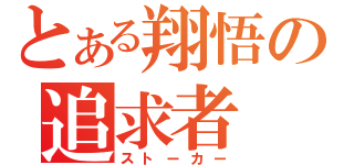 とある翔悟の追求者（ストーカー）