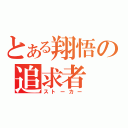 とある翔悟の追求者（ストーカー）