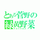 とある菅野の緑黄野菜（アスパラガス）