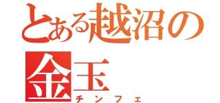 とある越沼の金玉（チンフェ）