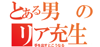 とある男のリア充生活（手を出すとこうなる）