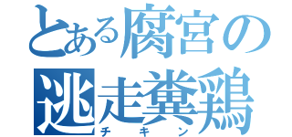 とある腐宮の逃走糞鶏（チキン）