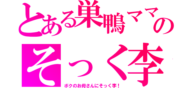 とある巣鴨ママのそっく李（ボクのお母さんにそっく李！）