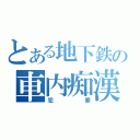 とある地下鉄の車内痴漢（犯罪）