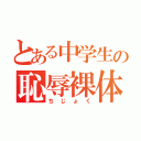 とある中学生の恥辱裸体（ちじょく）