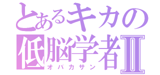 とあるキカの低脳学者Ⅱ（オバカサン）