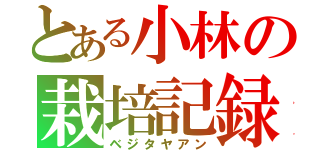 とある小林の栽培記録（ベジタヤアン）