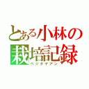 とある小林の栽培記録（ベジタヤアン）