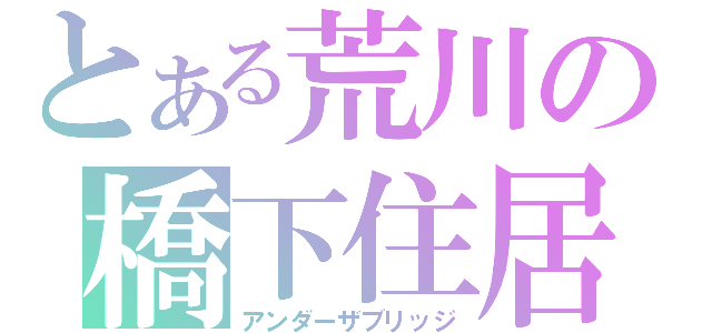 とある荒川の橋下住居（アンダーザブリッジ）