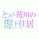 とある荒川の橋下住居（アンダーザブリッジ）