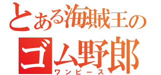 とある海賊王のゴム野郎（ワンピース）