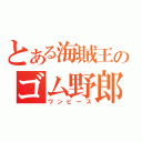 とある海賊王のゴム野郎（ワンピース）