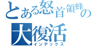 とある怒首領蜂の大復活（インデックス）