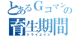 とあるＧコマンダーの育生期間（トライエイジ）