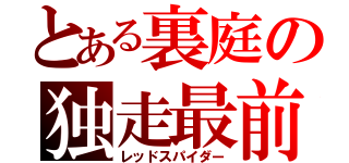 とある裏庭の独走最前線（レッドスパイダー）