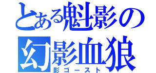 とある魁影の幻影血狼（影ゴースト）