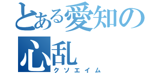 とある愛知の心乱（クソエイム）