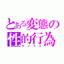 とある変態の性的行為（セックス）