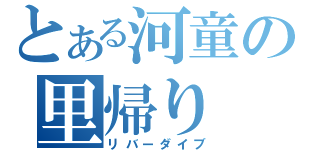 とある河童の里帰り（リバーダイブ）