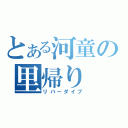 とある河童の里帰り（リバーダイブ）