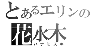 とあるエリンの花水木（ハナミズキ）