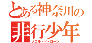 とある神奈川の非行少年（ノエル・ド・ローン）