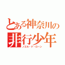 とある神奈川の非行少年（ノエル・ド・ローン）