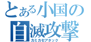 とある小国の自滅攻撃（カミカゼアタック）