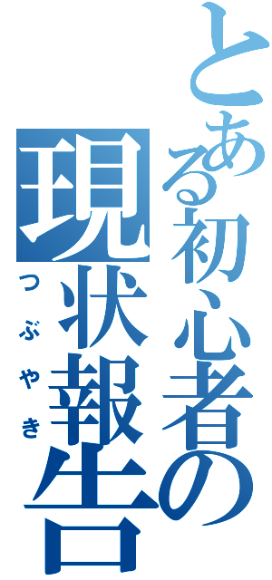 とある初心者の現状報告（つぶやき）