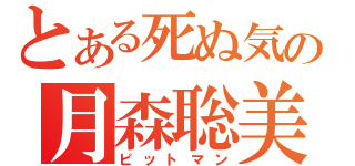 とある死ぬ気の月森聡美（ピットマン）