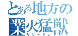 とある地方の業火猛獣（リザードン）