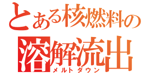 とある核燃料の溶解流出（メルトダウン）