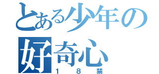 とある少年の好奇心（１８禁）