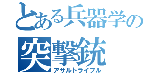 とある兵器学の突撃銃（アサルトライフル）