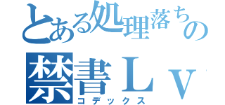 とある処理落ちの禁書Ｌｖ１０（コデックス）