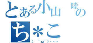 とある小山　陸のち＊こ（（　＾ω＾）・・・）