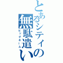 とあるシティの無駄遣い（ビッグネーム）