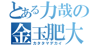 とある力哉の金玉肥大（カタタマデカイ）