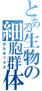 とある生物の細胞群体（ボルボックス）
