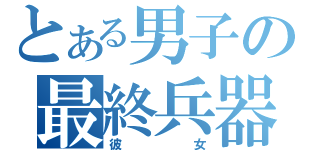 とある男子の最終兵器（彼女）