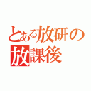 とある放研の放課後（）