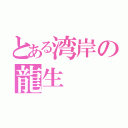 とある湾岸の龍生（）