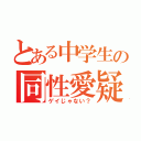 とある中学生の同性愛疑惑（ゲイじゃない？）